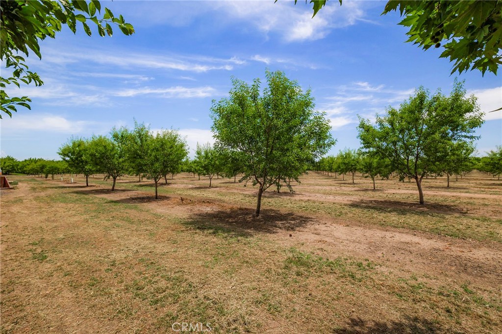 4580 Dayton West Road Chico, CA 95928 - Photo 50 of 75 a view of backyard with green space