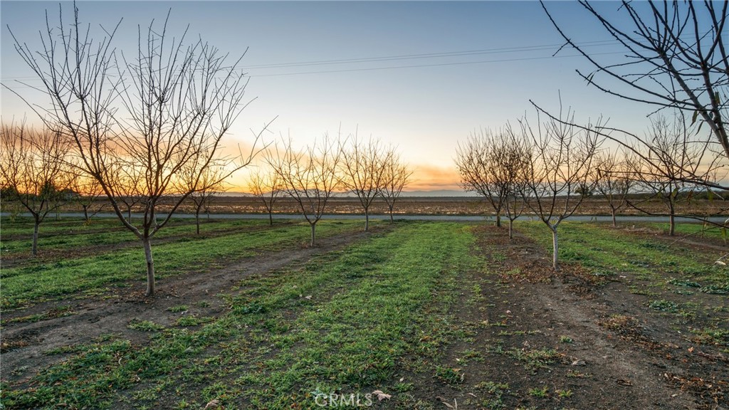 4580 Dayton West Road Chico, CA 95928 - Photo 54 of 75 a view of outdoor space with green field and trees