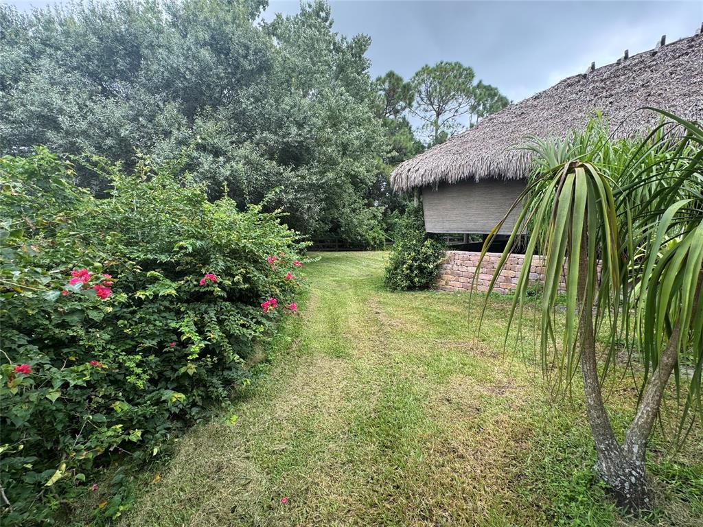 a view of outdoor space and yard