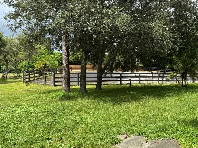 a view of a park with large trees