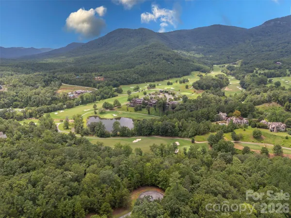 a view of a lush green hillside and houses