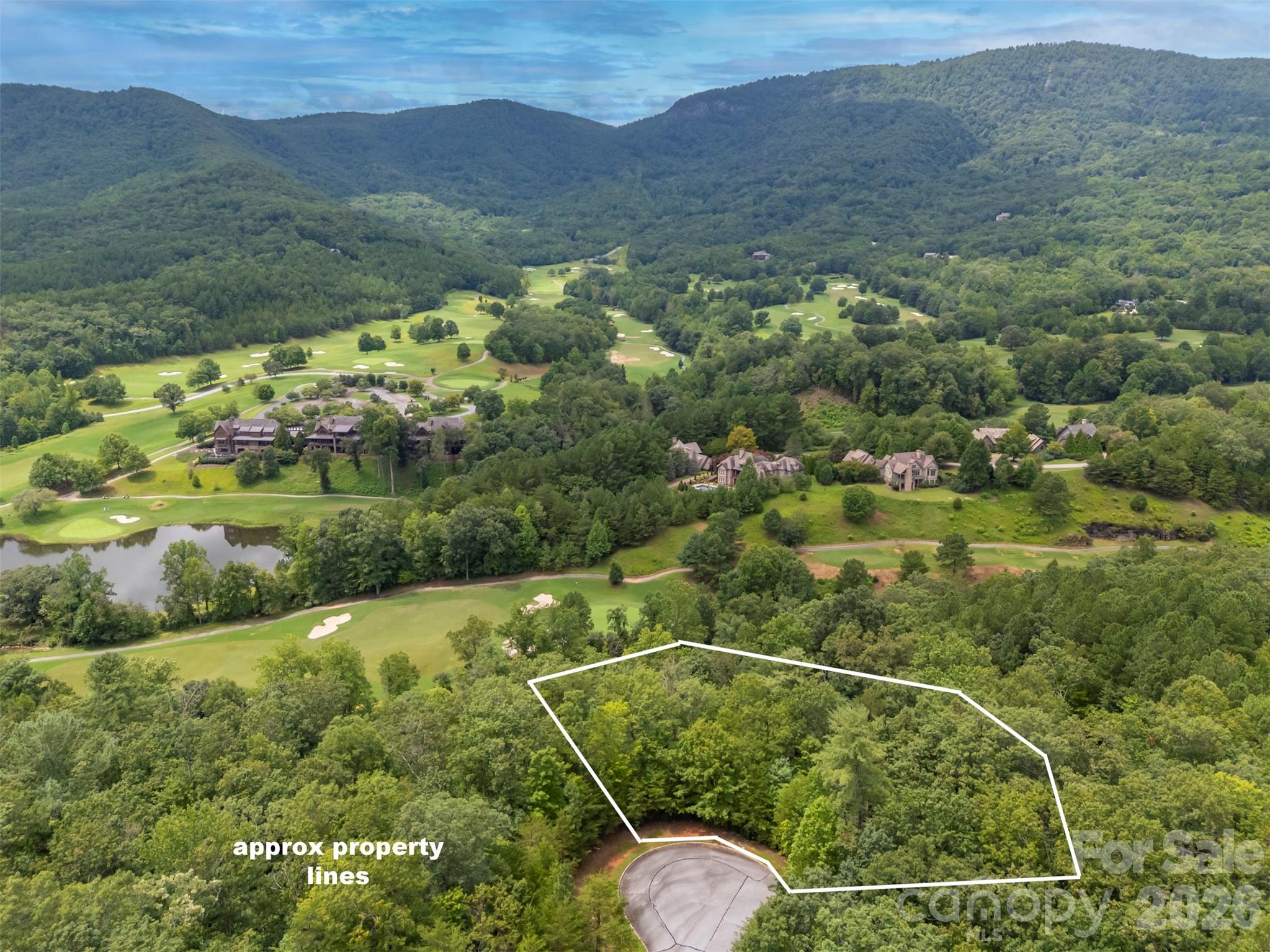 0 Stratford Drive, Unit 19 Mill Spring, NC 28756 - Photo 6 of 23