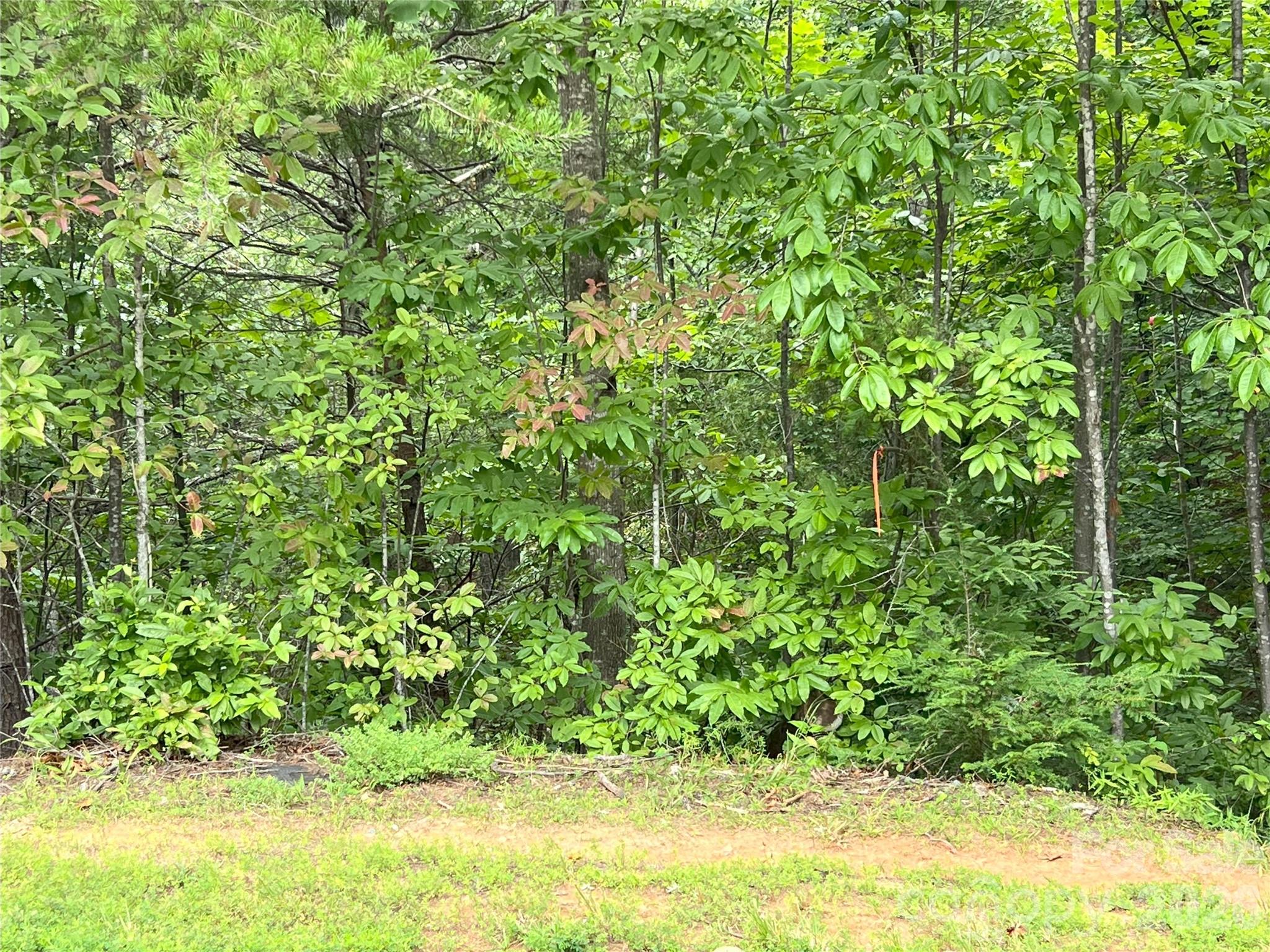 0 Stratford Drive, Unit 19 Mill Spring, NC 28756 - Photo 8 of 23