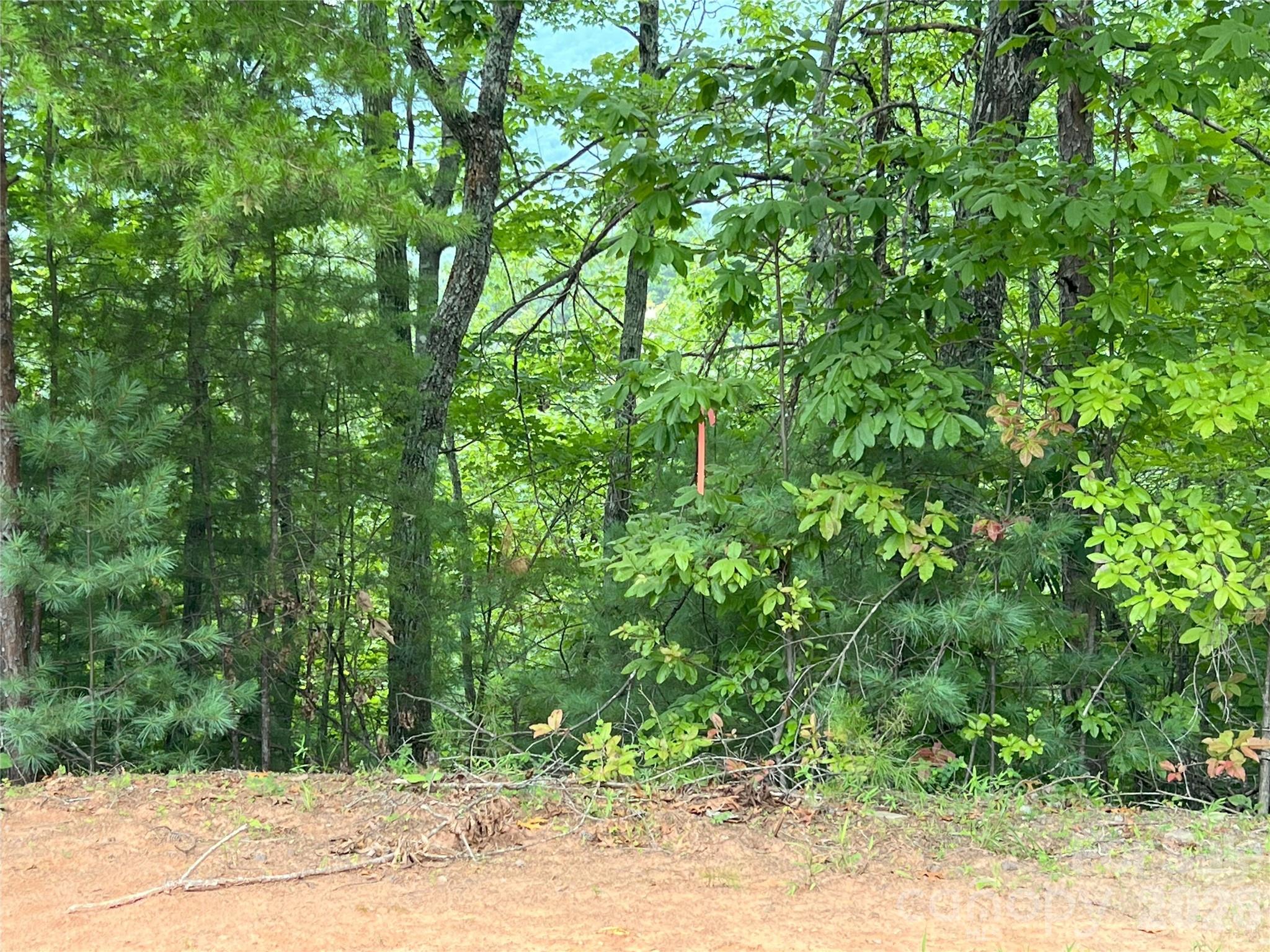 0 Stratford Drive, Unit 19 Mill Spring, NC 28756 - Photo 9 of 23