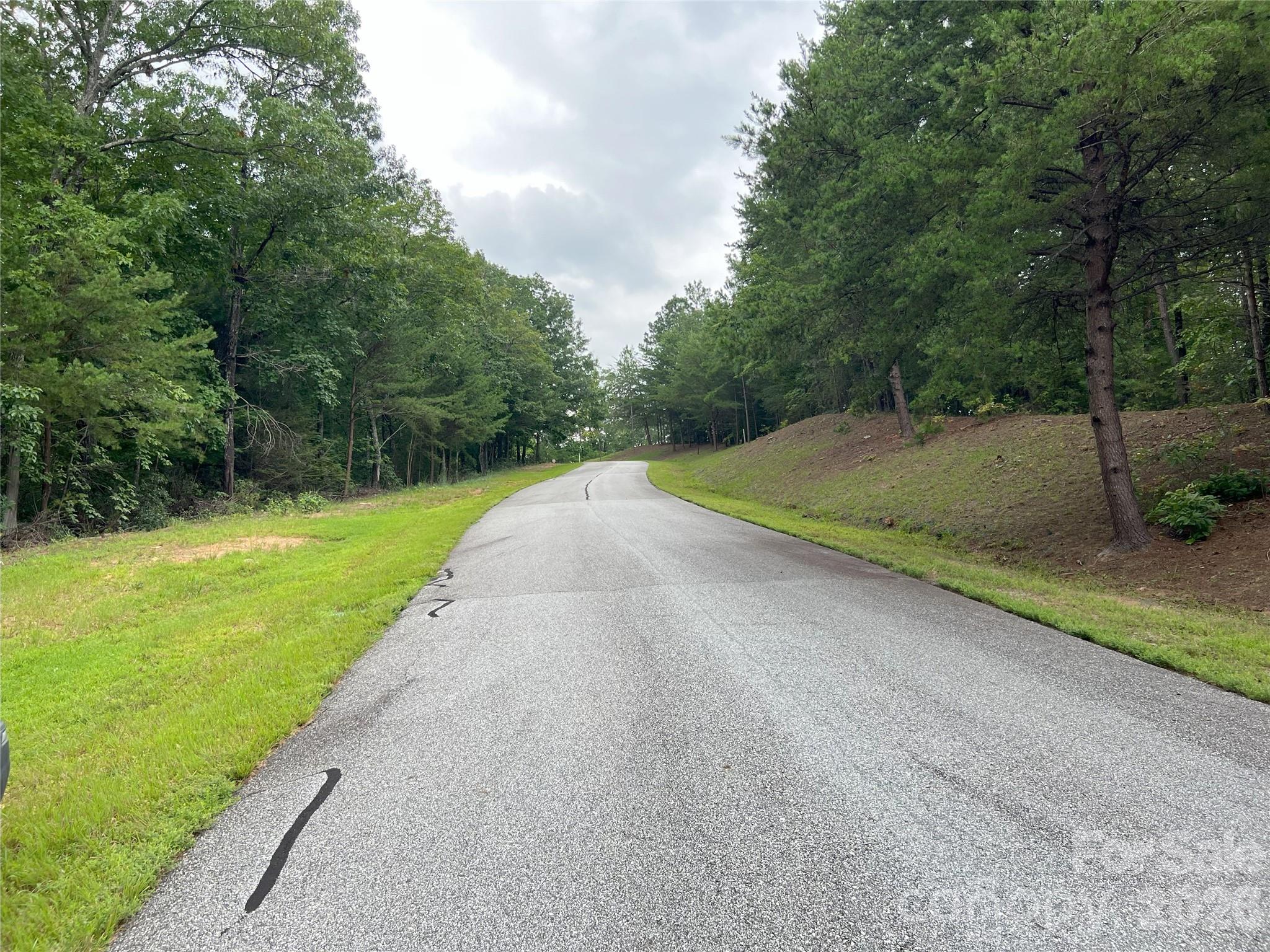 0 Stratford Drive, Unit 19 Mill Spring, NC 28756 - Photo 10 of 23