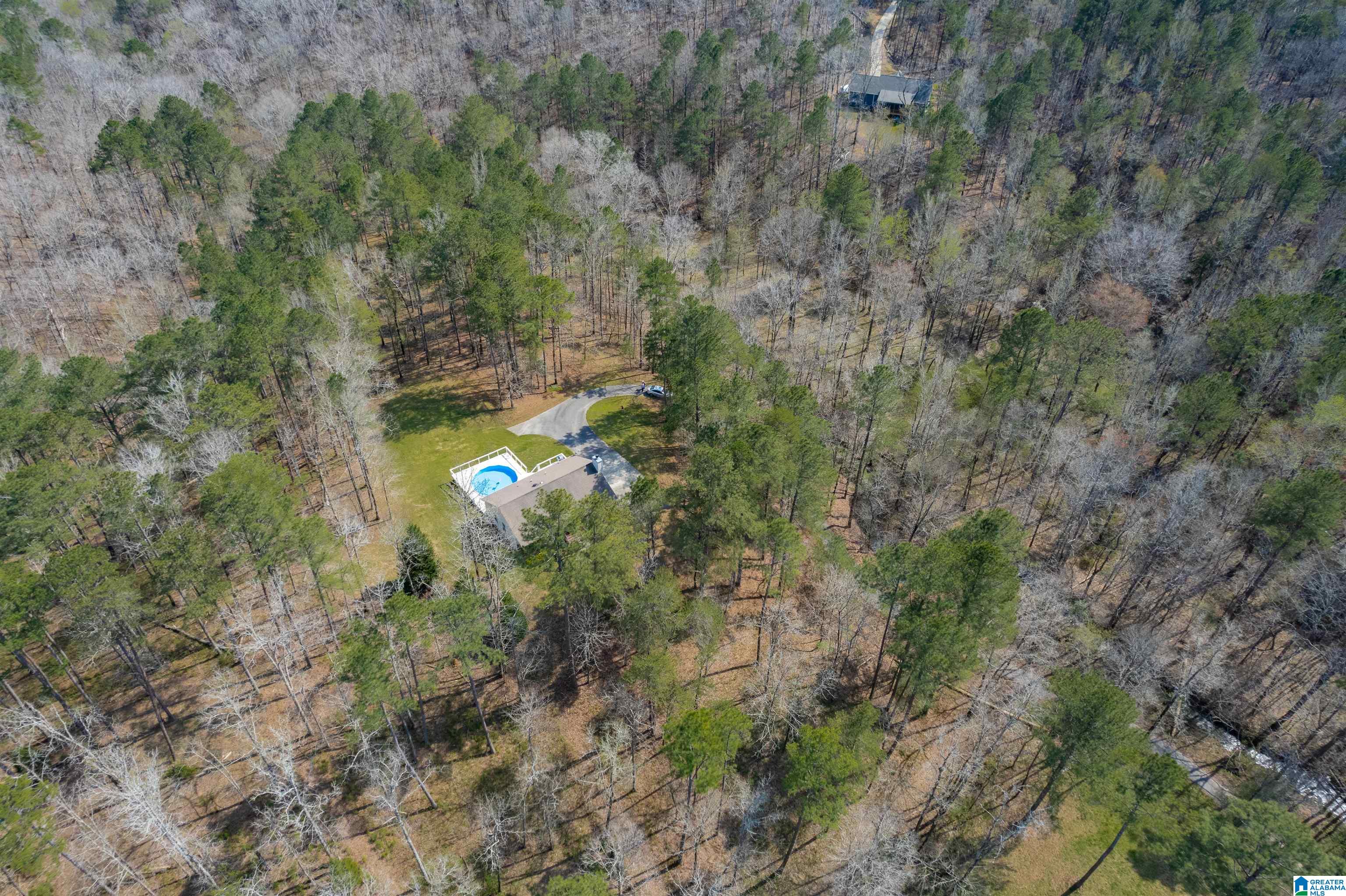184 Sequoyah Road Pell City, AL 35128 - Photo 37 of 46