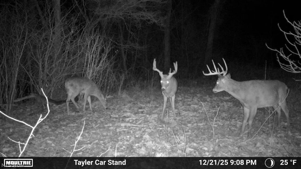 Taylor Road Dennison, OH 44621 - Photo 38 of 48 Gallery Image 38