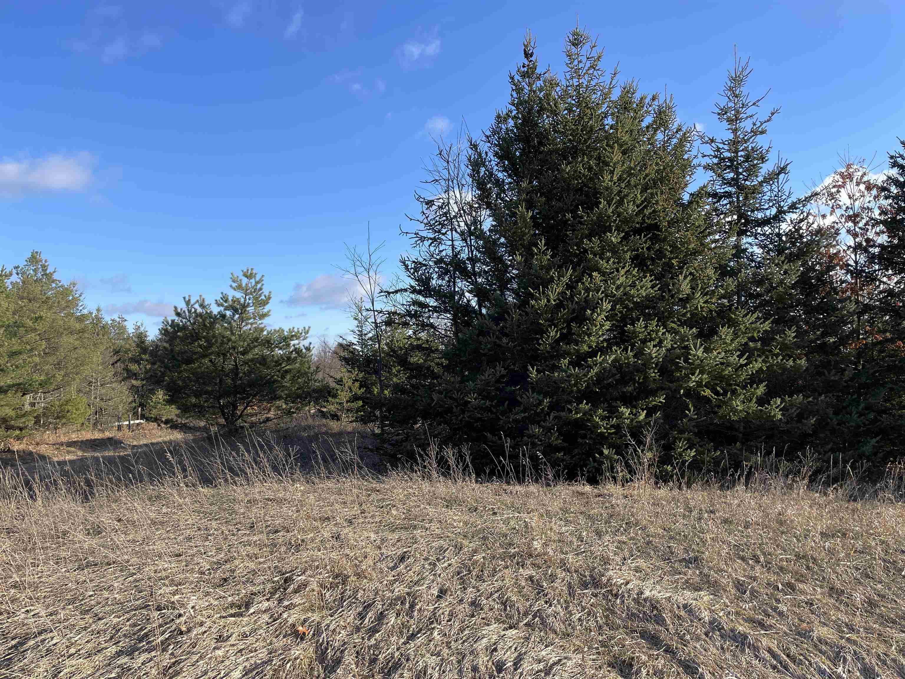 0 East No 10 1/2 Road Manton, MI 49663 - Photo 3 of 9