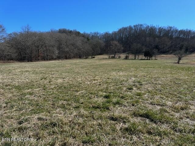 3146 Knob Creek Road Bybee, TN 37713 - Photo 2 of 4 IMG_1119