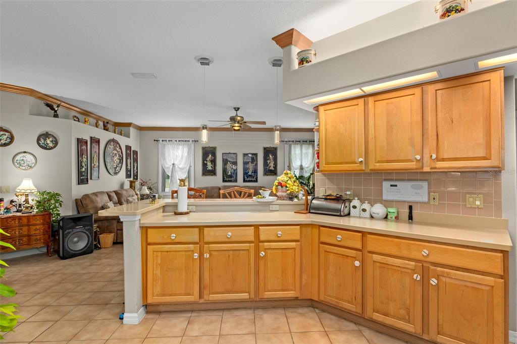 129 North Skyflower Point Lecanto, FL 34461 - Photo 15 of 34