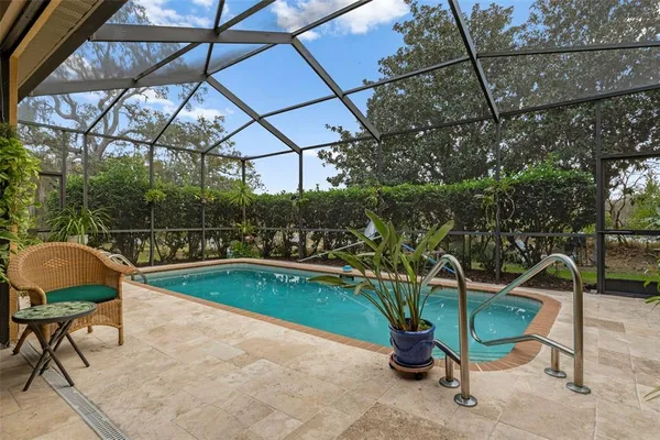 a view of a swimming pool with a chair and potted plants