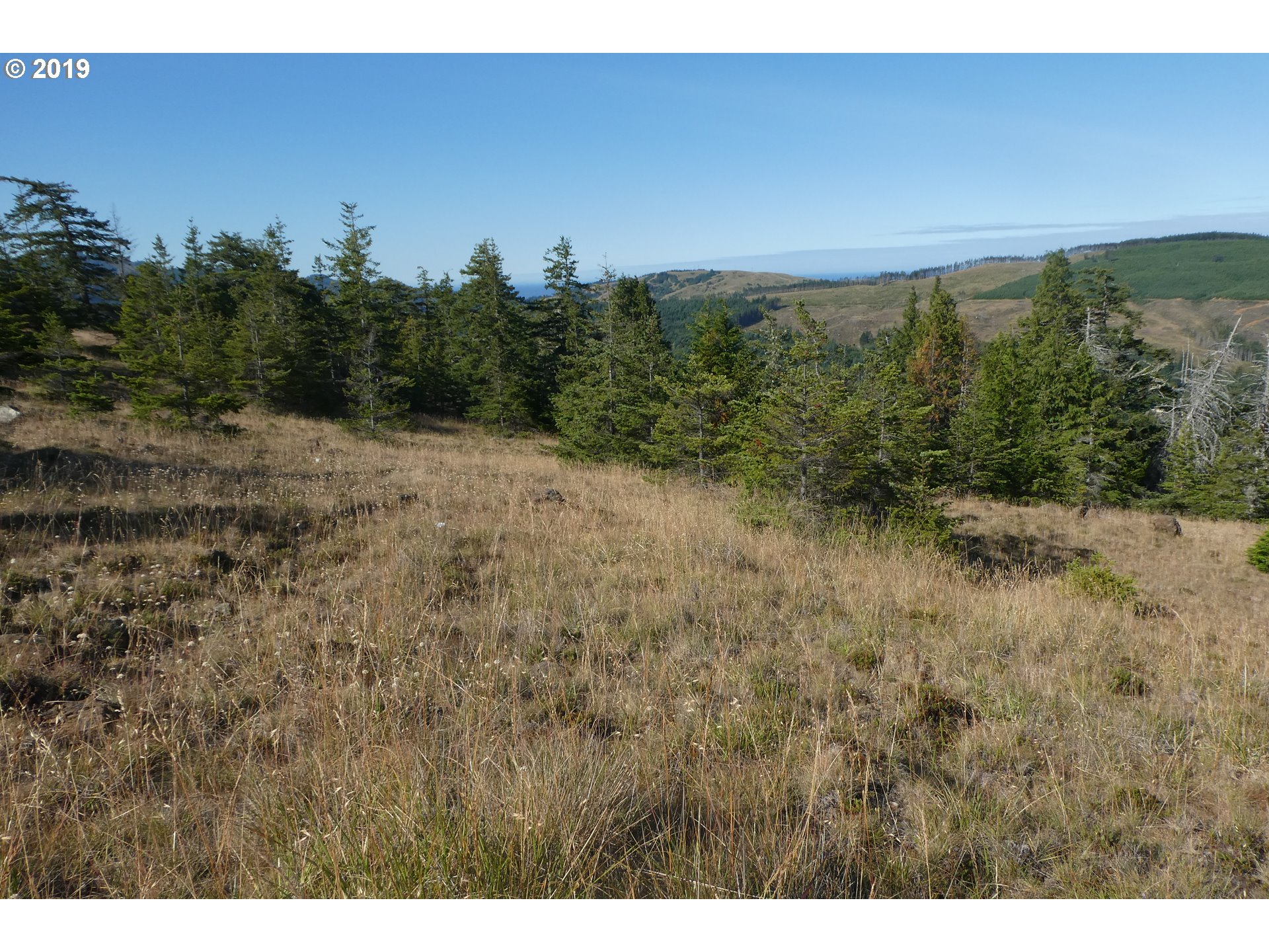 95660 Spirit Ridge Road, Unit 19 Gold Beach, OR 97444 - Photo 11 of 24