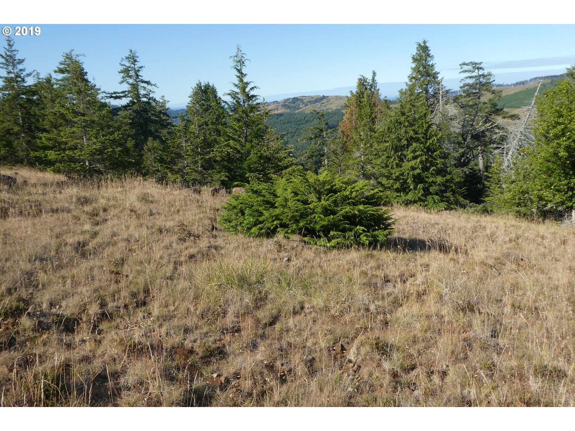 95660 Spirit Ridge Road, Unit 19 Gold Beach, OR 97444 - Photo 12 of 24