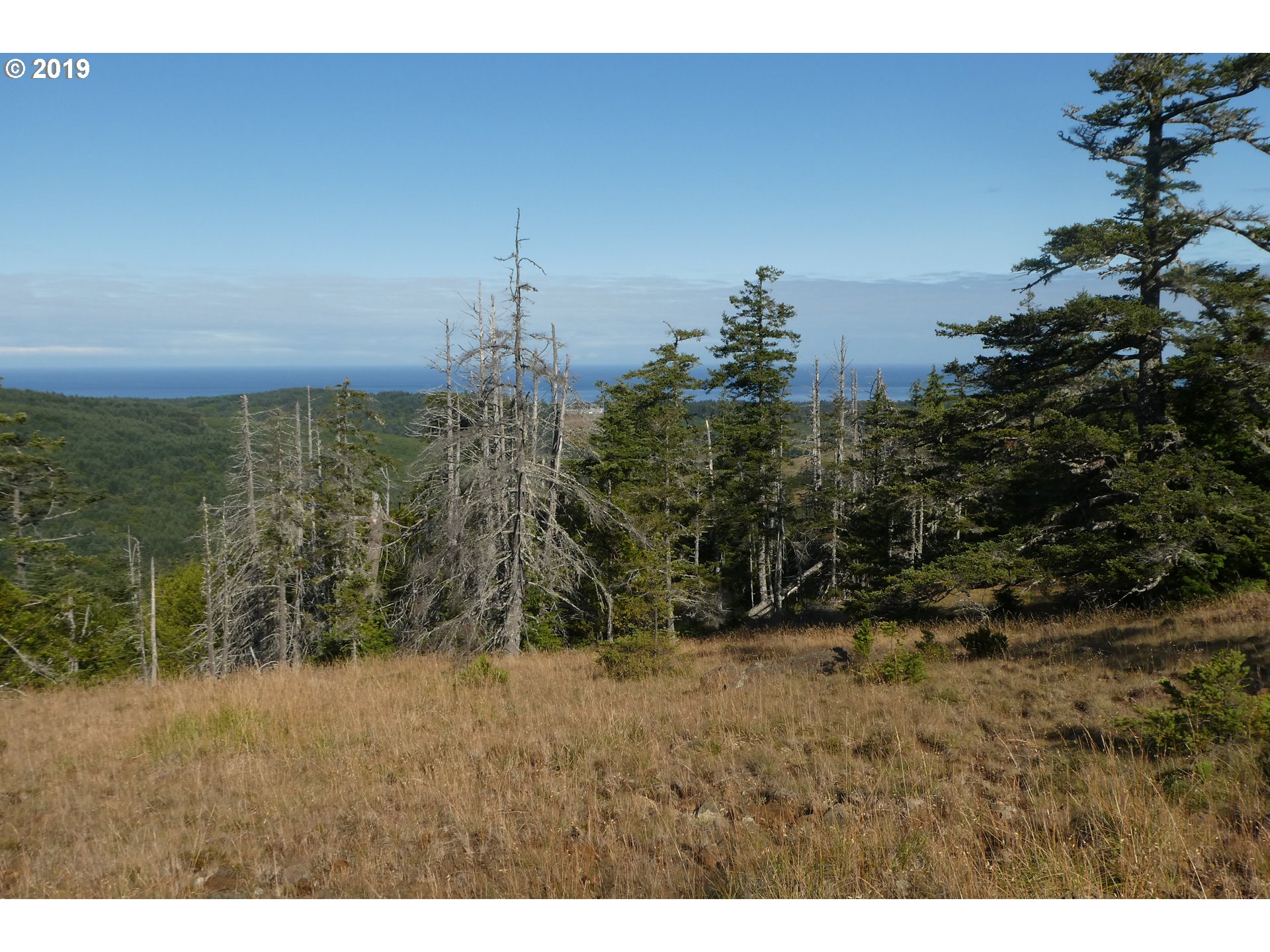 95660 Spirit Ridge Road, Unit 19 Gold Beach, OR 97444 - Photo 13 of 24