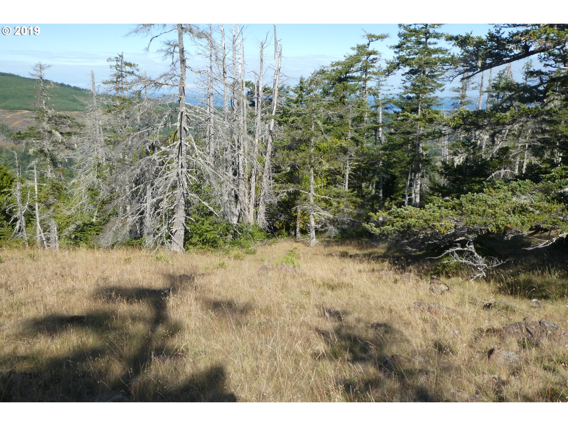 95660 Spirit Ridge Road, Unit 19 Gold Beach, OR 97444 - Photo 15 of 24