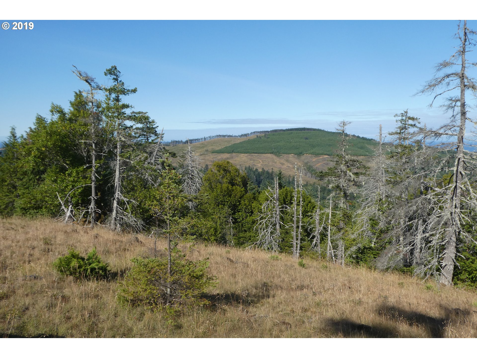 95660 Spirit Ridge Road, Unit 19 Gold Beach, OR 97444 - Photo 16 of 24