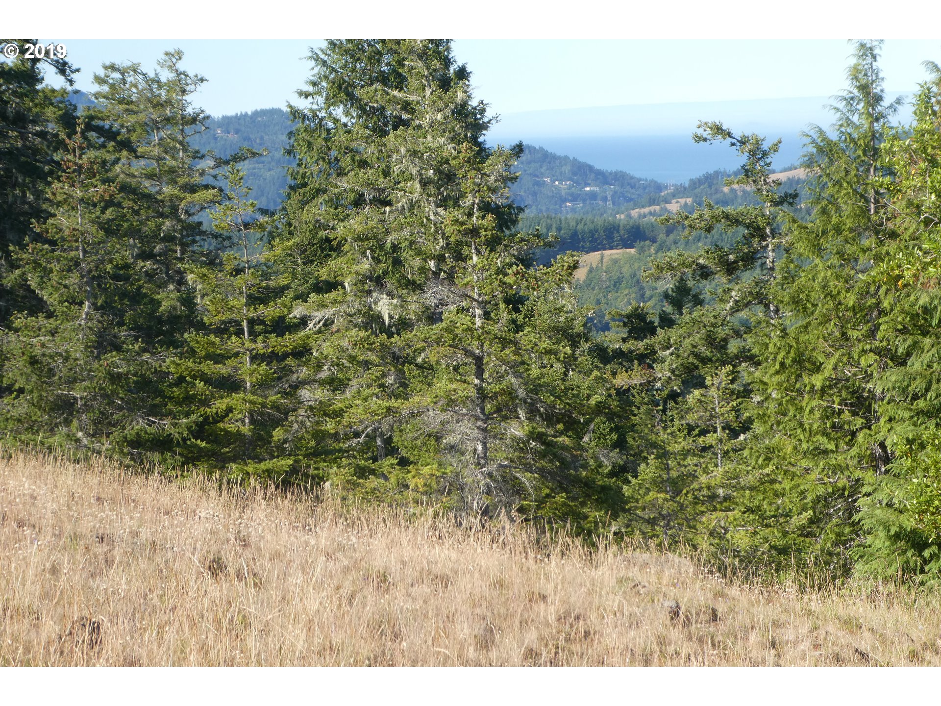95660 Spirit Ridge Road, Unit 19 Gold Beach, OR 97444 - Photo 17 of 24