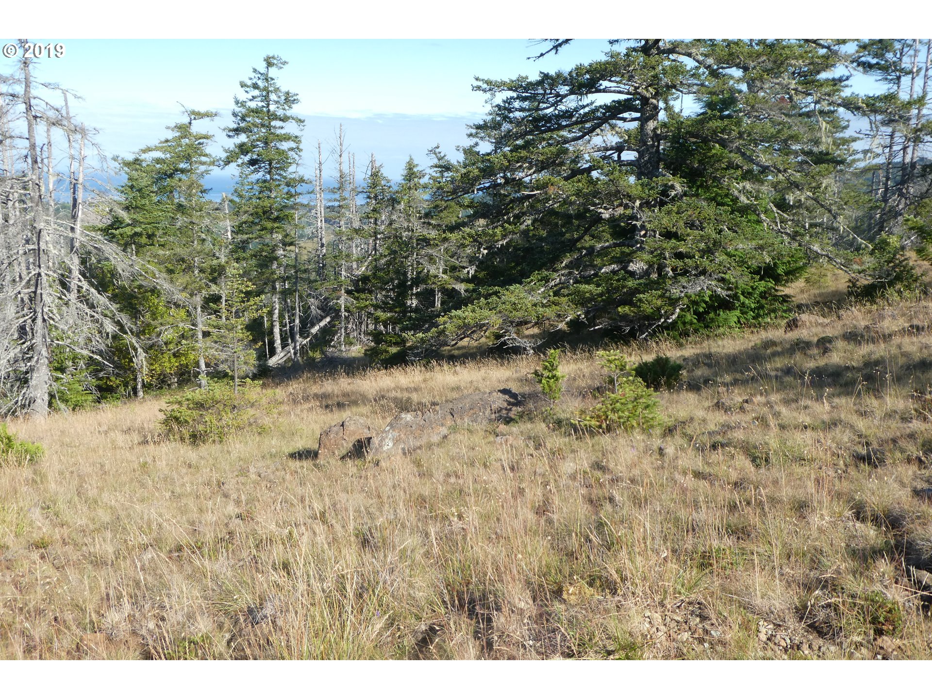 95660 Spirit Ridge Road, Unit 19 Gold Beach, OR 97444 - Photo 10 of 24