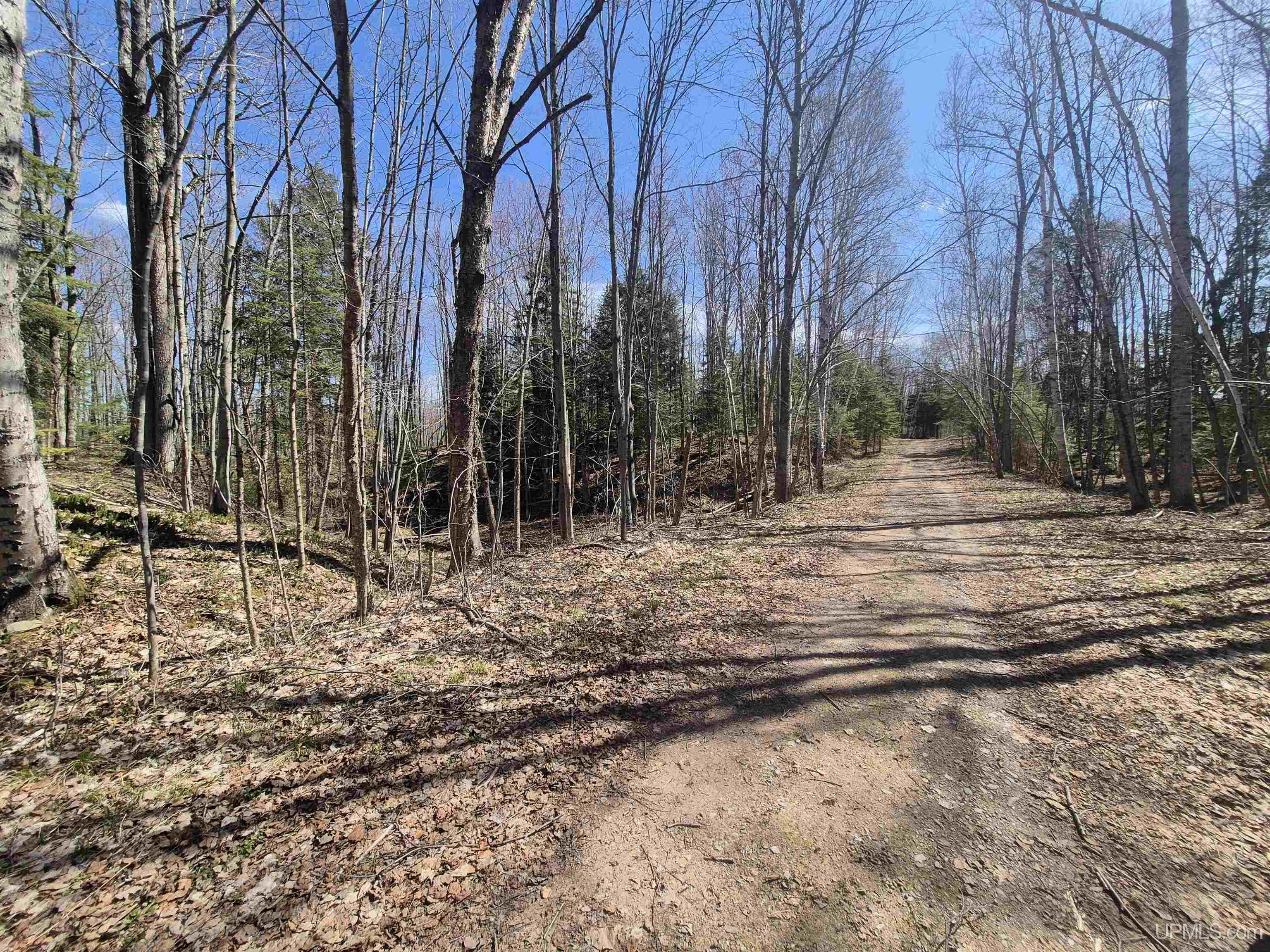 12-acres Salmon Road L'Anse, MI 49946 - Photo 14 of 39