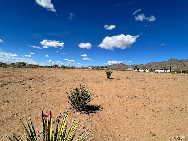 0 North Bryce Road Golden Valley, AZ 86413 - Photo 5 of 9