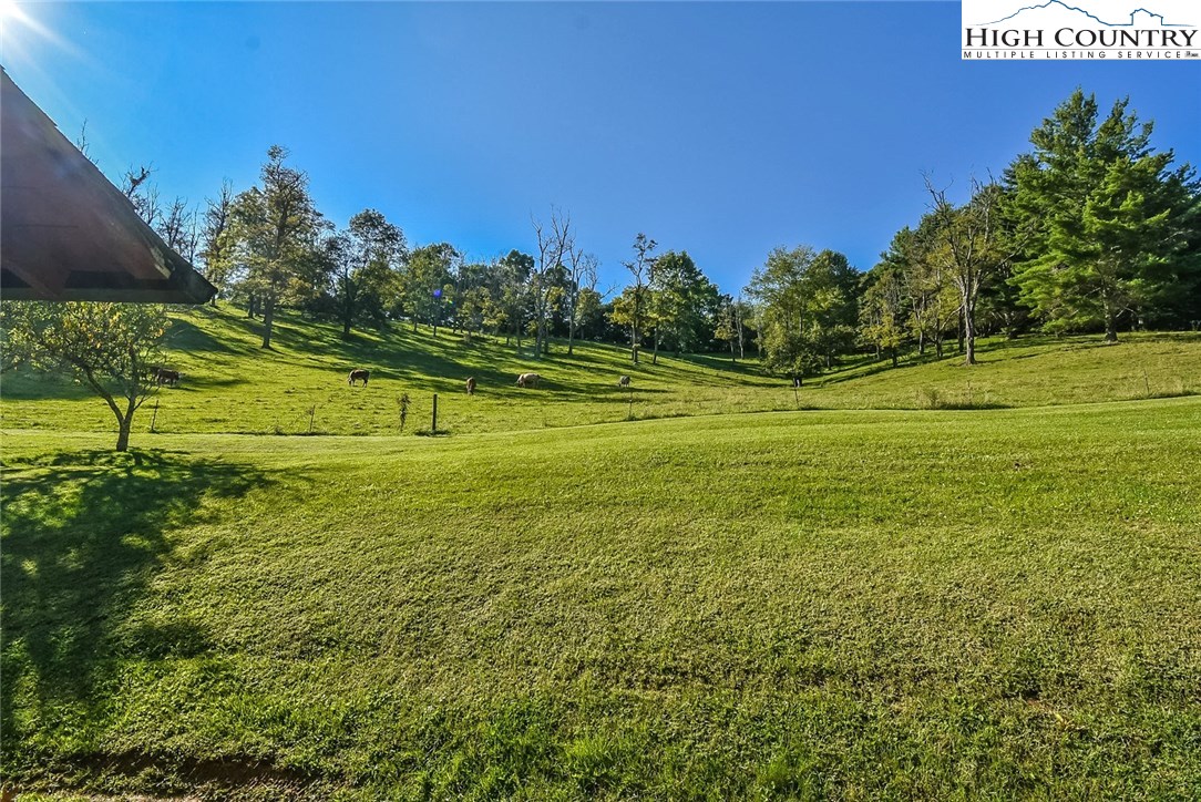 409 Glenn King Road Lansing, NC 28643 - Photo 44 of 50 Gallery Image 44
