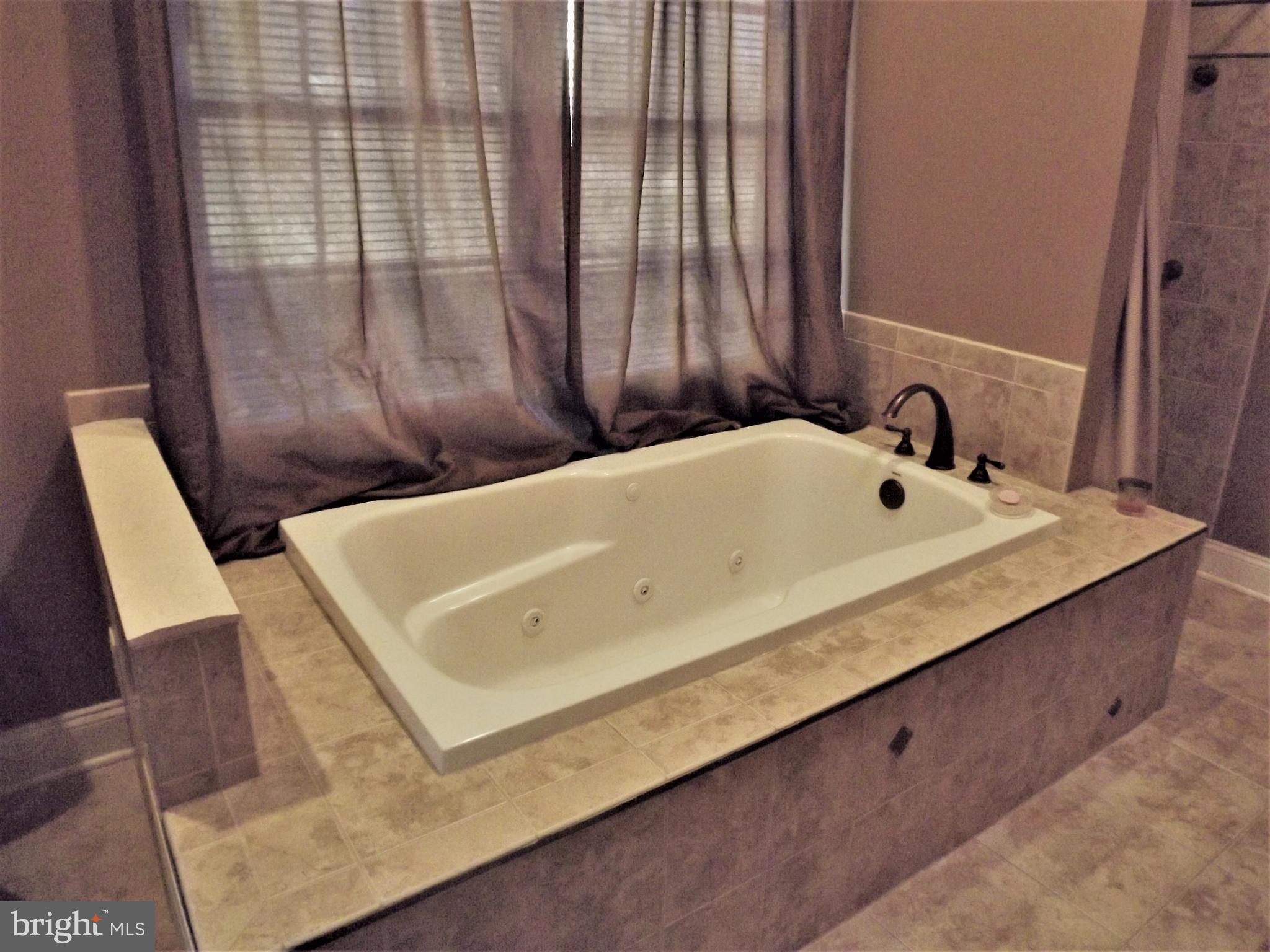 299 Goosemar Road Rising Sun, MD 21911 - Photo 22 of 30 Bath (Master)