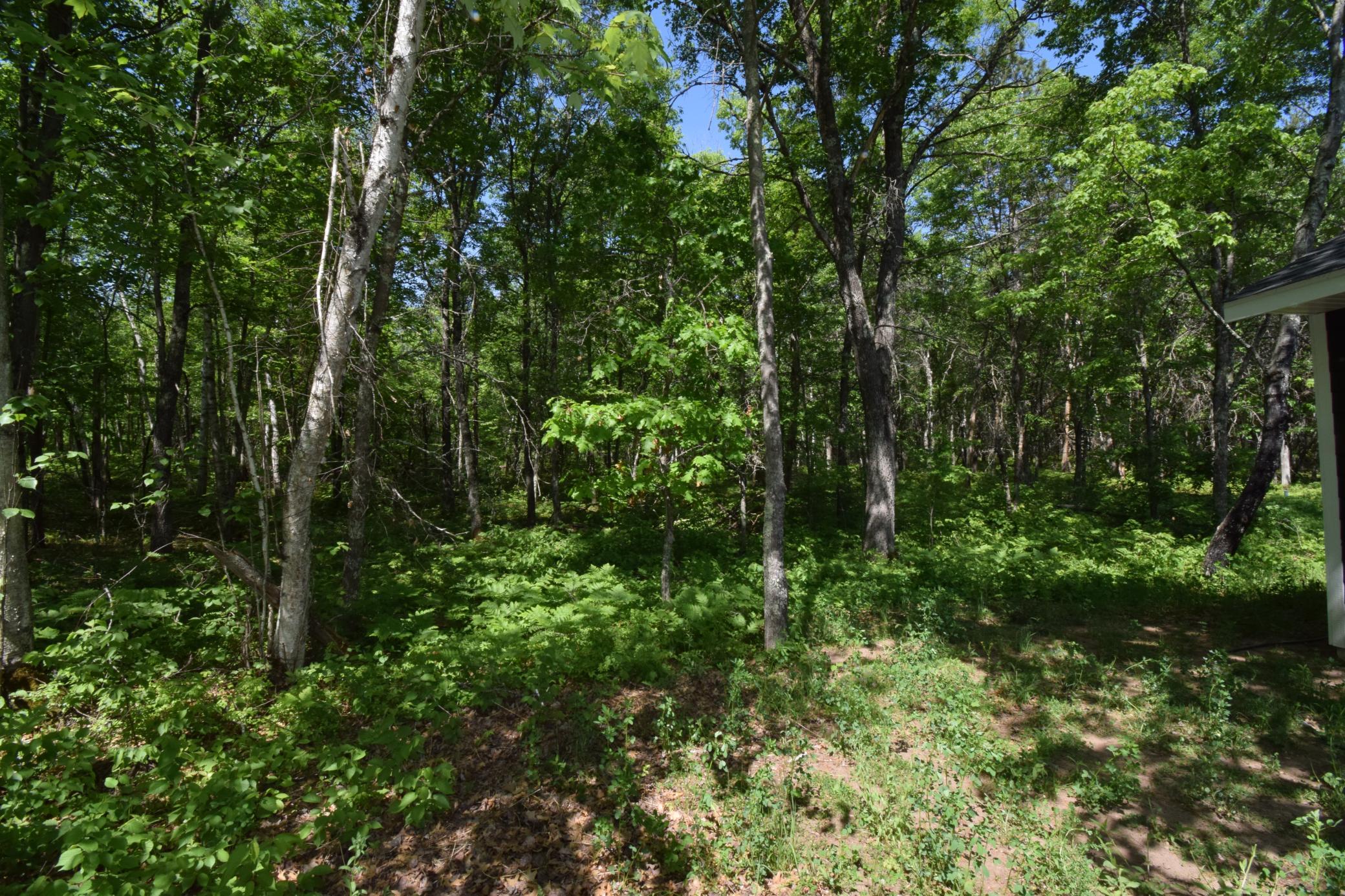 29093 Deerpath Pass Danbury, WI 54830 - Photo 42 of 94