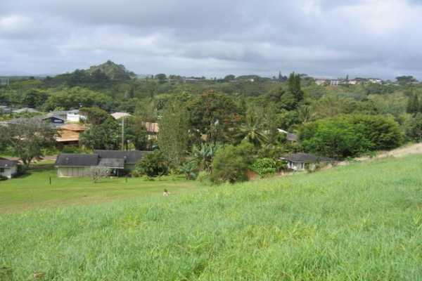5 Puupilo Road Kapaa, HI 96746 - Photo 3 of 5 a view of a garden with a building in the background