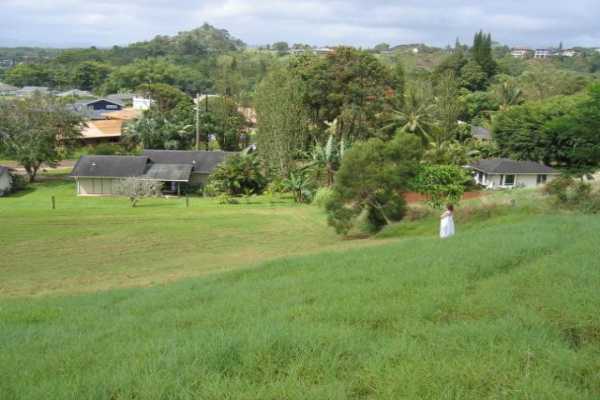 5 Puupilo Road Kapaa, HI 96746 - Photo 4 of 5 a view of a garden with a building in the background