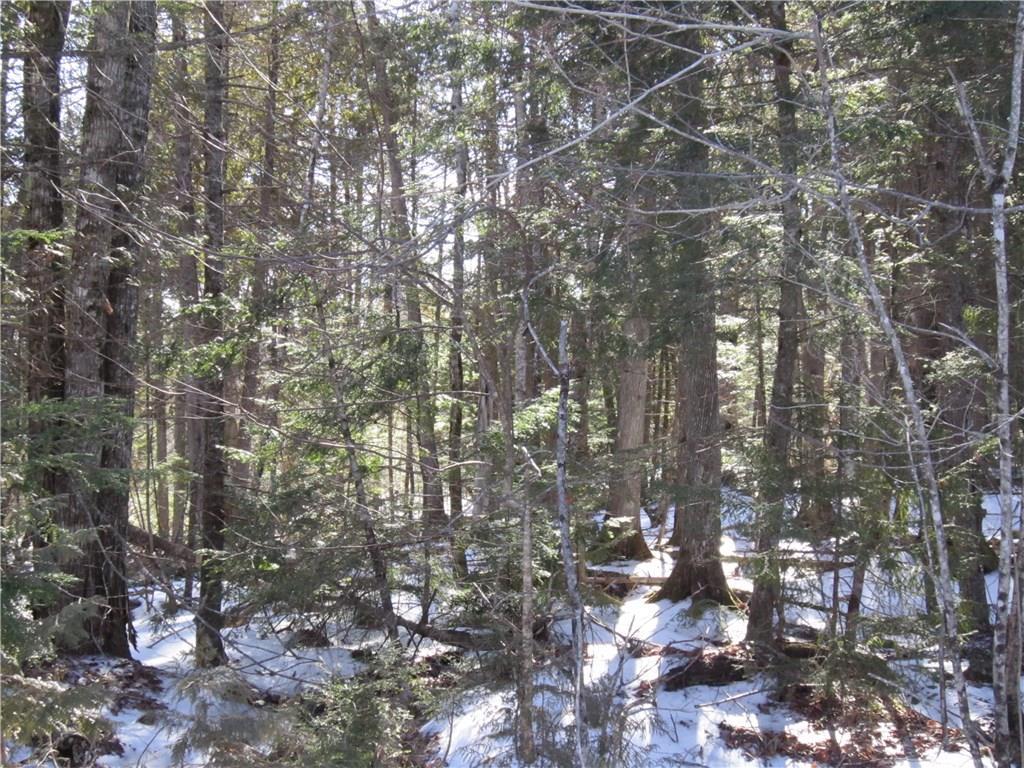 Lot 5-1 Jellison Meadow Road Ellsworth, ME 04605 - Photo 15 of 20 View through woods along road frontage