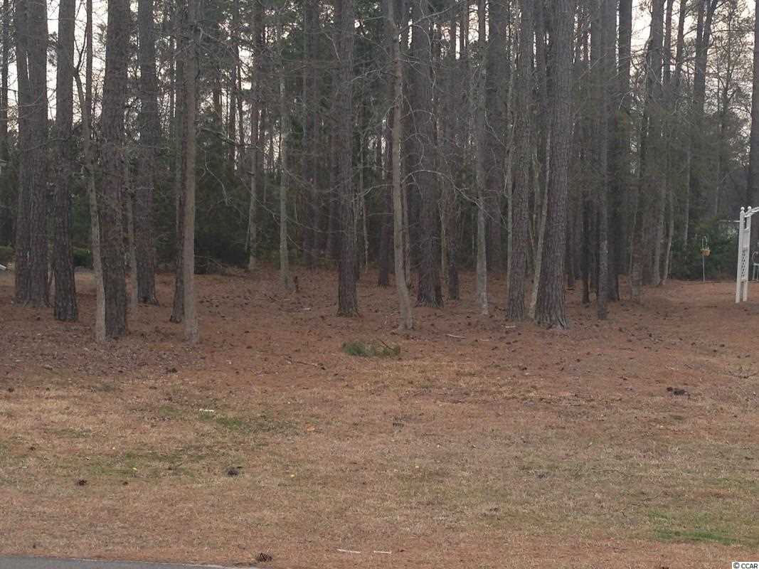 Lot 96 Helms Way Conway, SC 29526 - Photo 1 of 7 Gallery Image 1