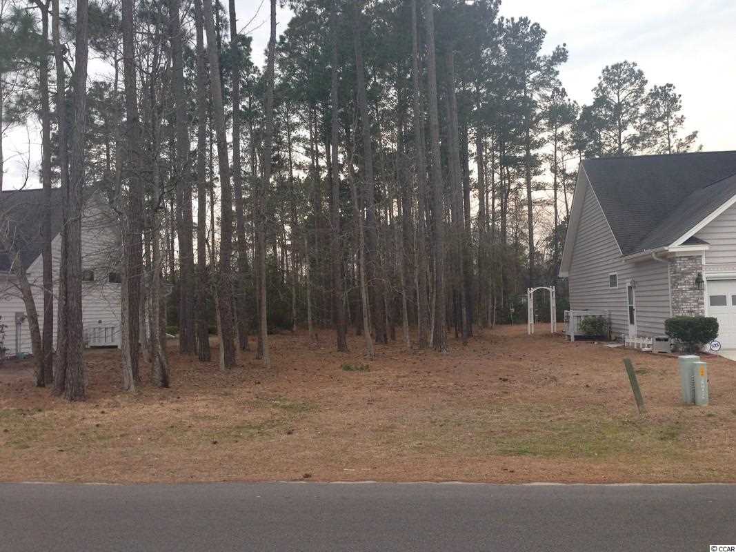 Lot 96 Helms Way Conway, SC 29526 - Photo 3 of 7 Gallery Image 3