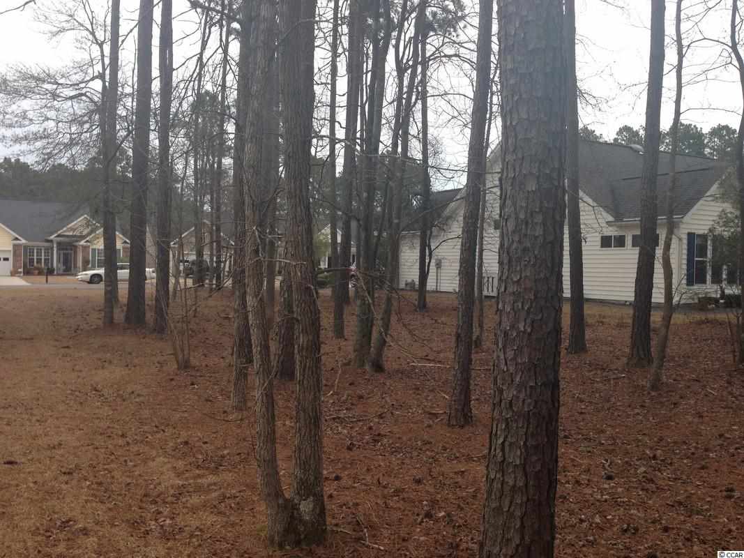 Lot 96 Helms Way Conway, SC 29526 - Photo 4 of 7 Gallery Image 4
