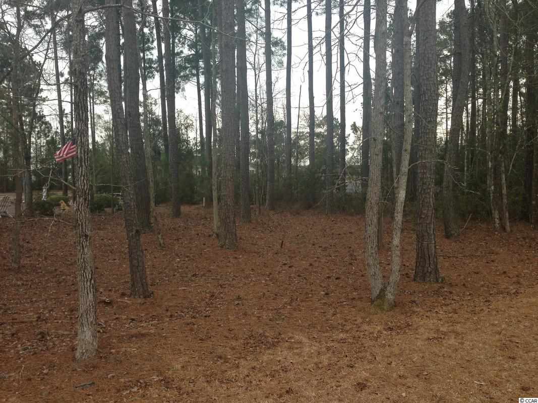 Lot 96 Helms Way Conway, SC 29526 - Photo 5 of 7 Gallery Image 5