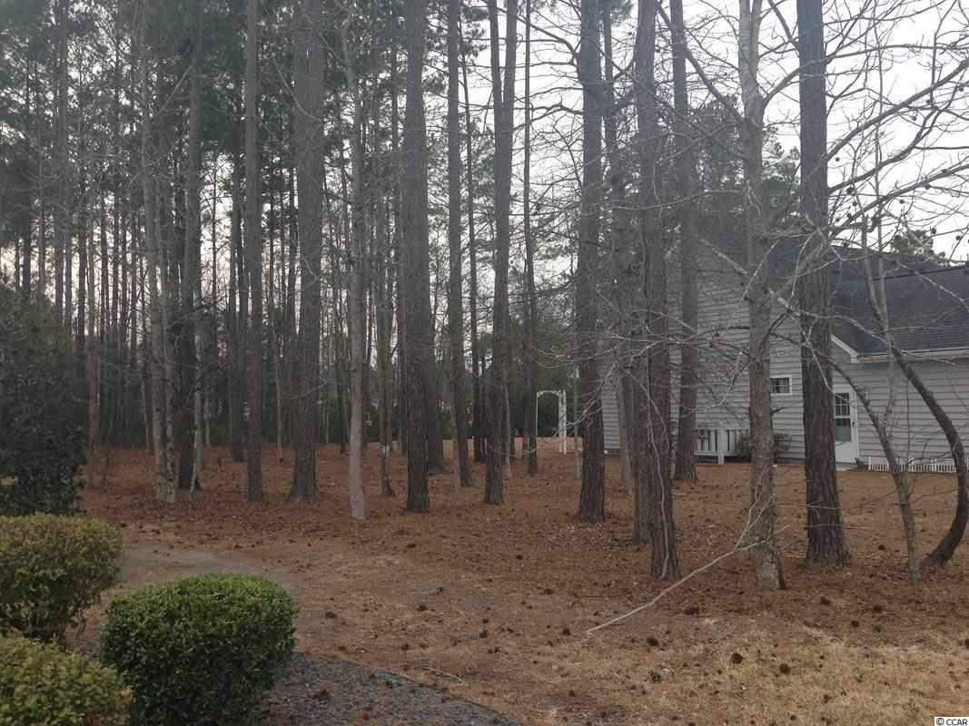 Lot 96 Helms Way Conway, SC 29526 - Photo 6 of 7 Gallery Image 6