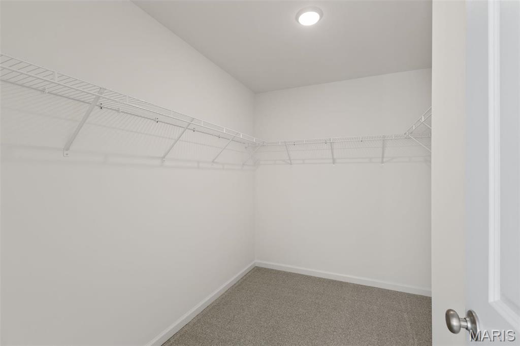 31 Shady Elm Court St. Charles, MO 63301 - Photo 9 of 30