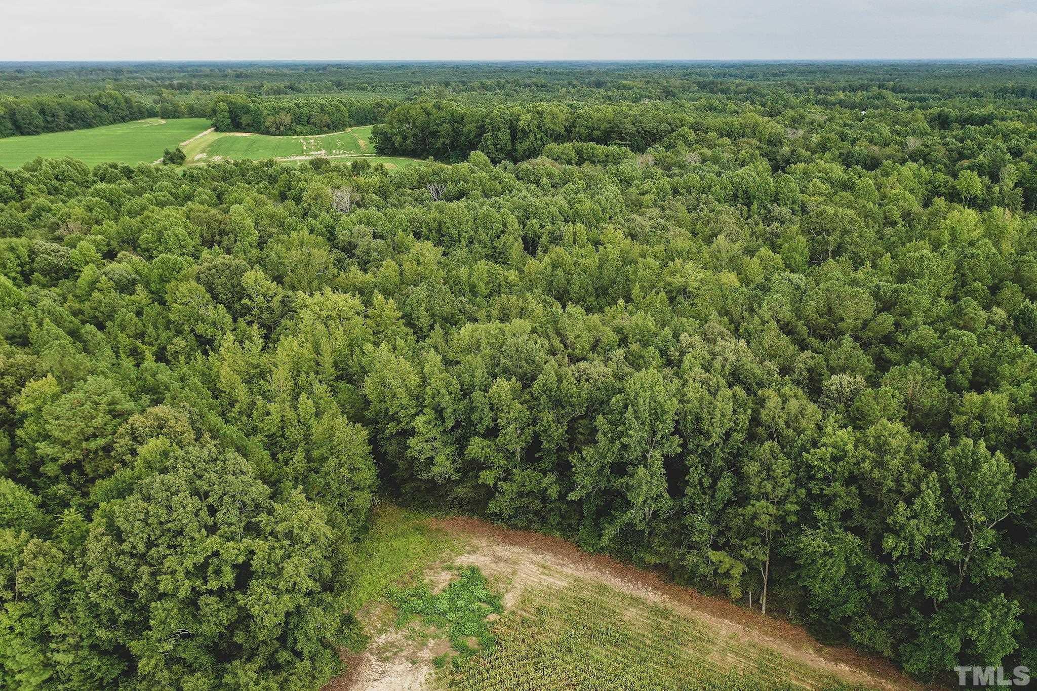 23-ac Wayman Church Road Enfield, NC 27823 - Photo 18 of 26 Gallery Image 18