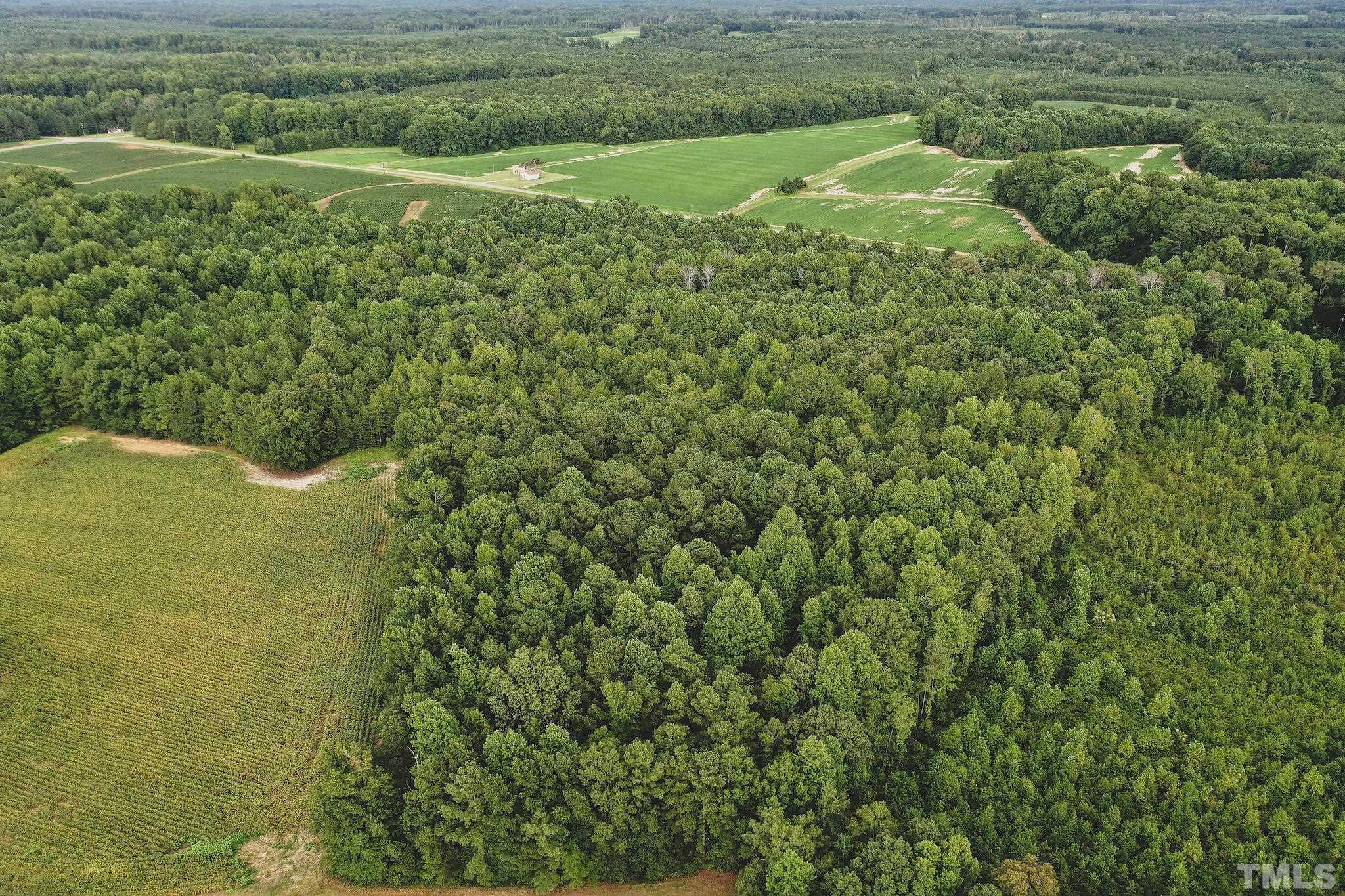 23-ac Wayman Church Road Enfield, NC 27823 - Photo 20 of 26 Gallery Image 20