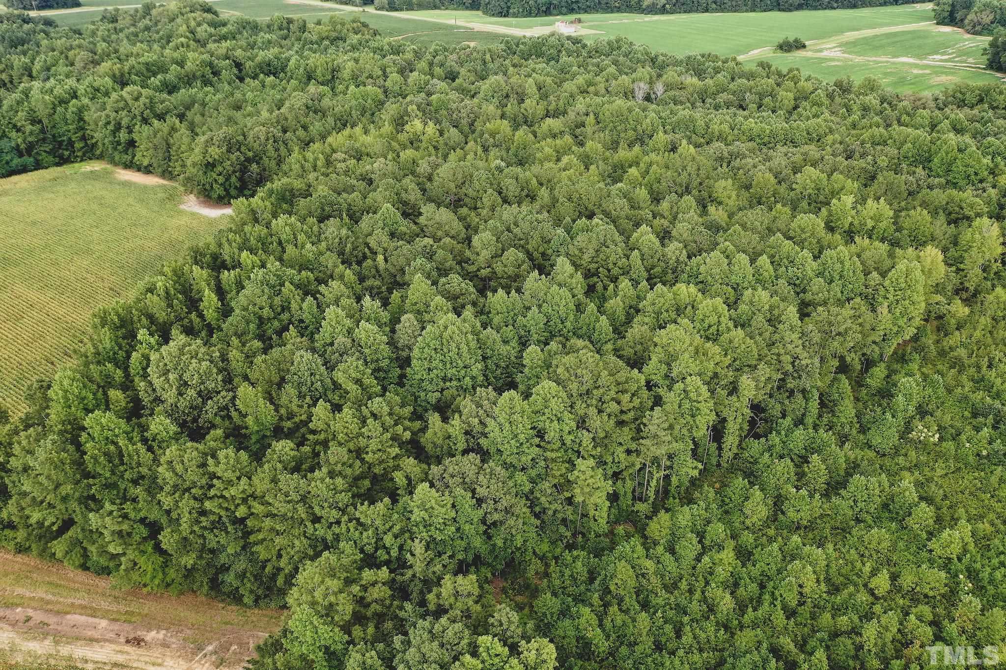 23-ac Wayman Church Road Enfield, NC 27823 - Photo 22 of 26 Gallery Image 22