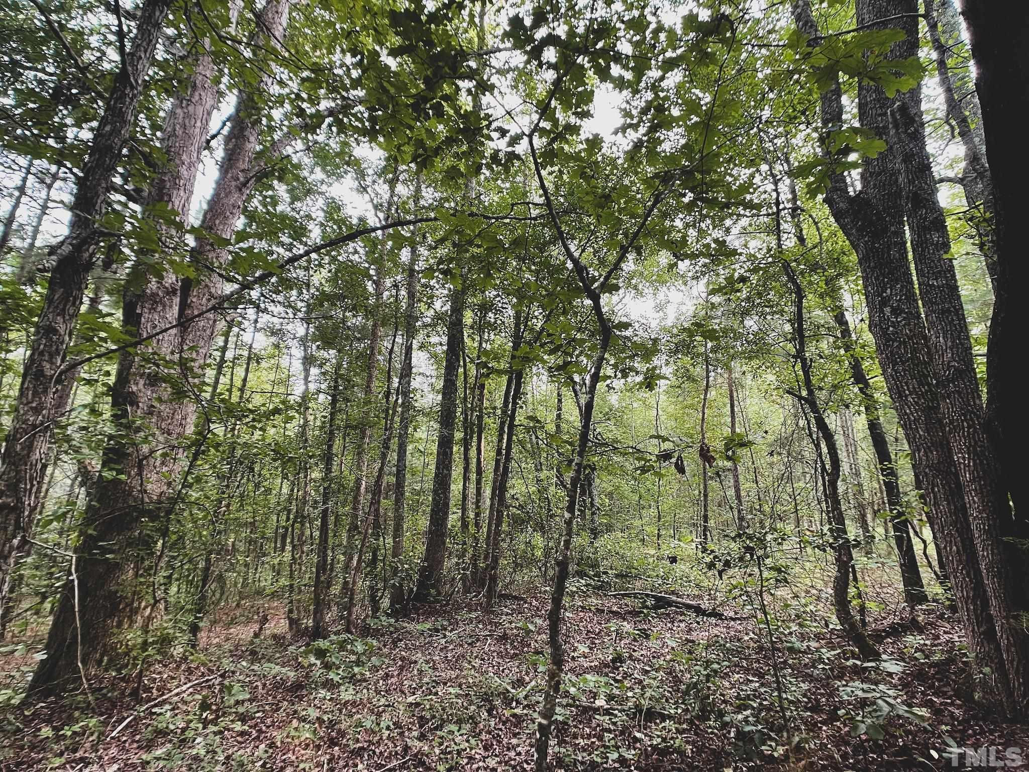 23-ac Wayman Church Road Enfield, NC 27823 - Photo 5 of 26 Gallery Image 5