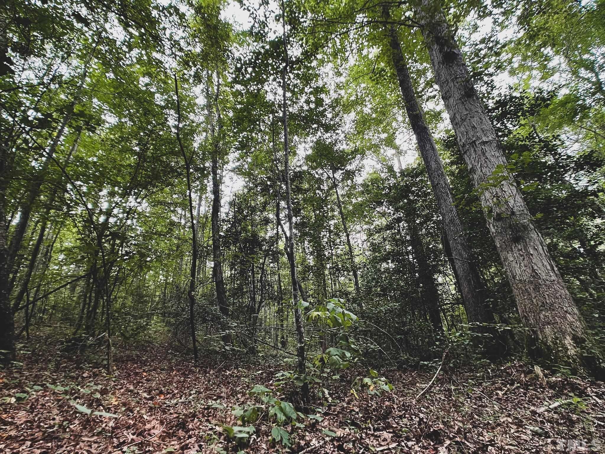 23-ac Wayman Church Road Enfield, NC 27823 - Photo 8 of 26 Gallery Image 8