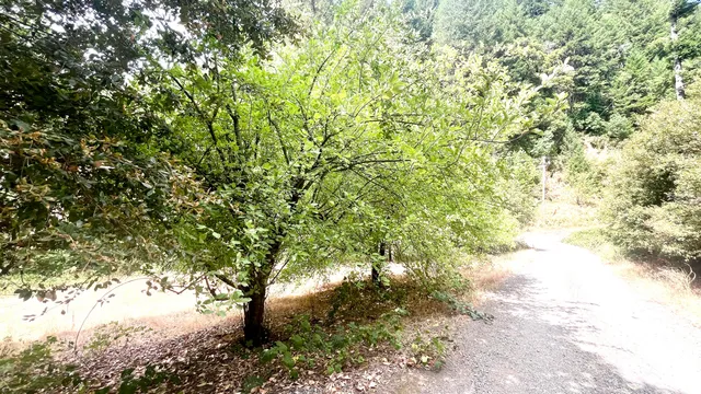 $365,000 | 27367 Mineral Way, Bella Vista, CA 96008