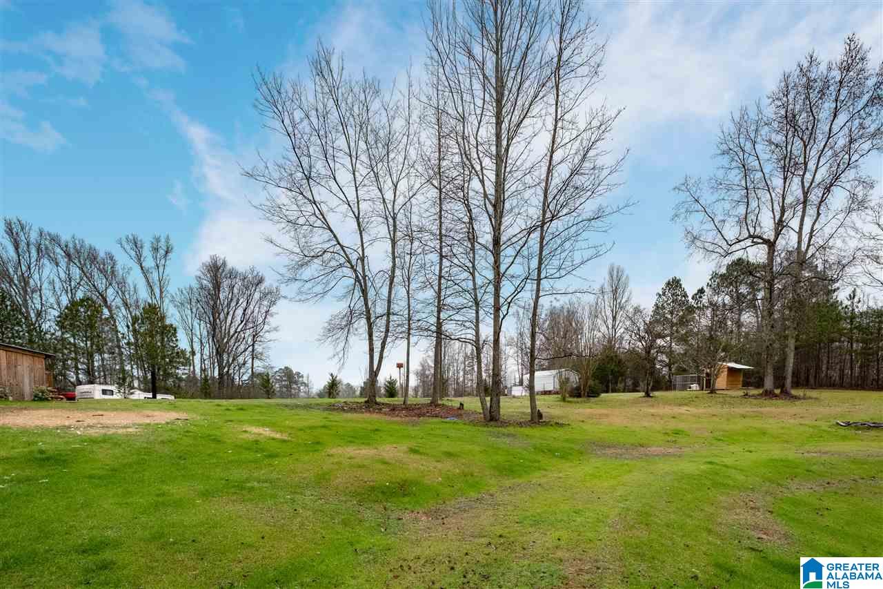 2481 County Road 29 Oneonta, AL 35121 - Photo 33 of 35
