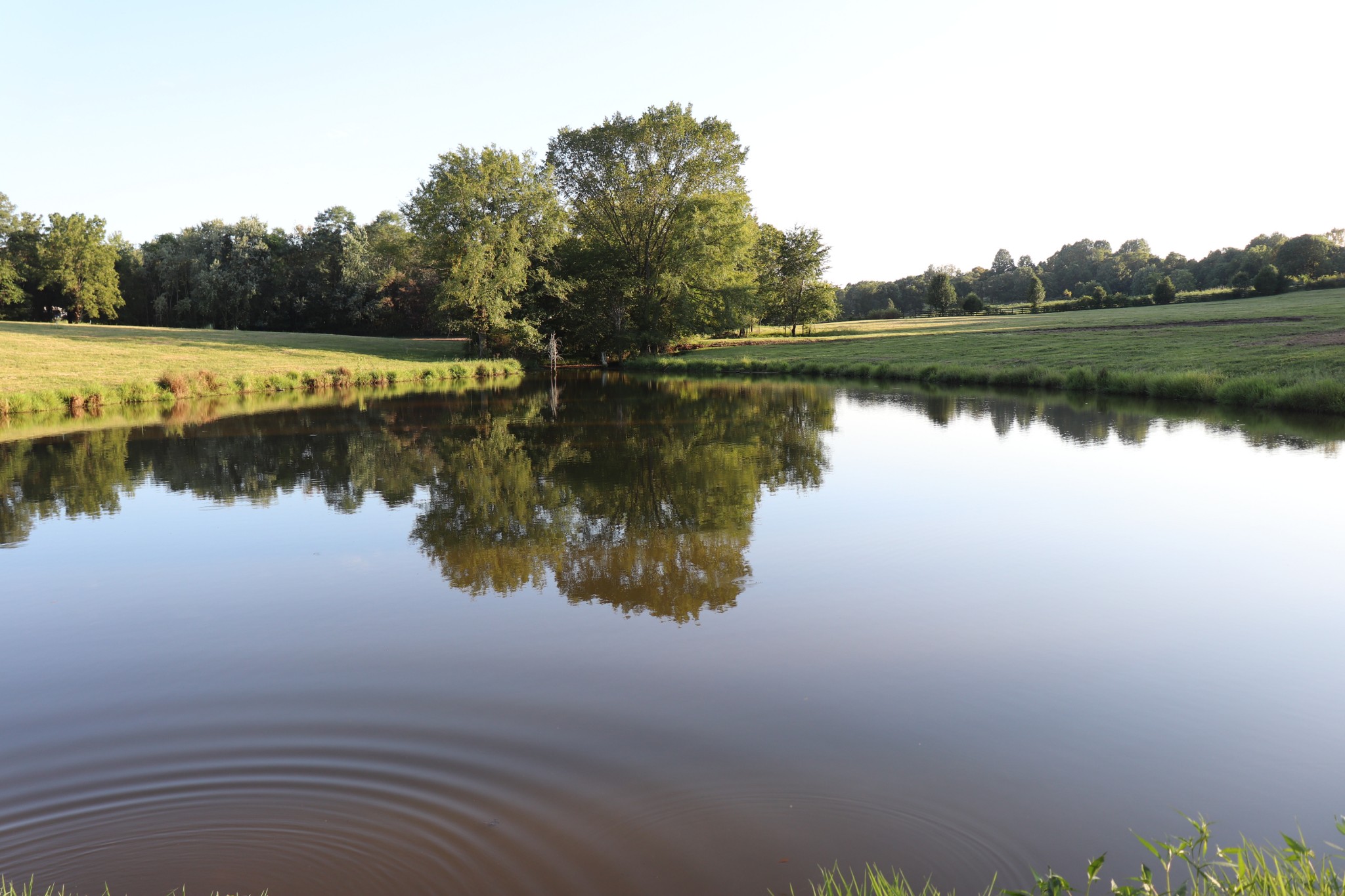 8 Howell Road Westmoreland, TN 37186 - Photo 3 of 21 Gallery Image 3