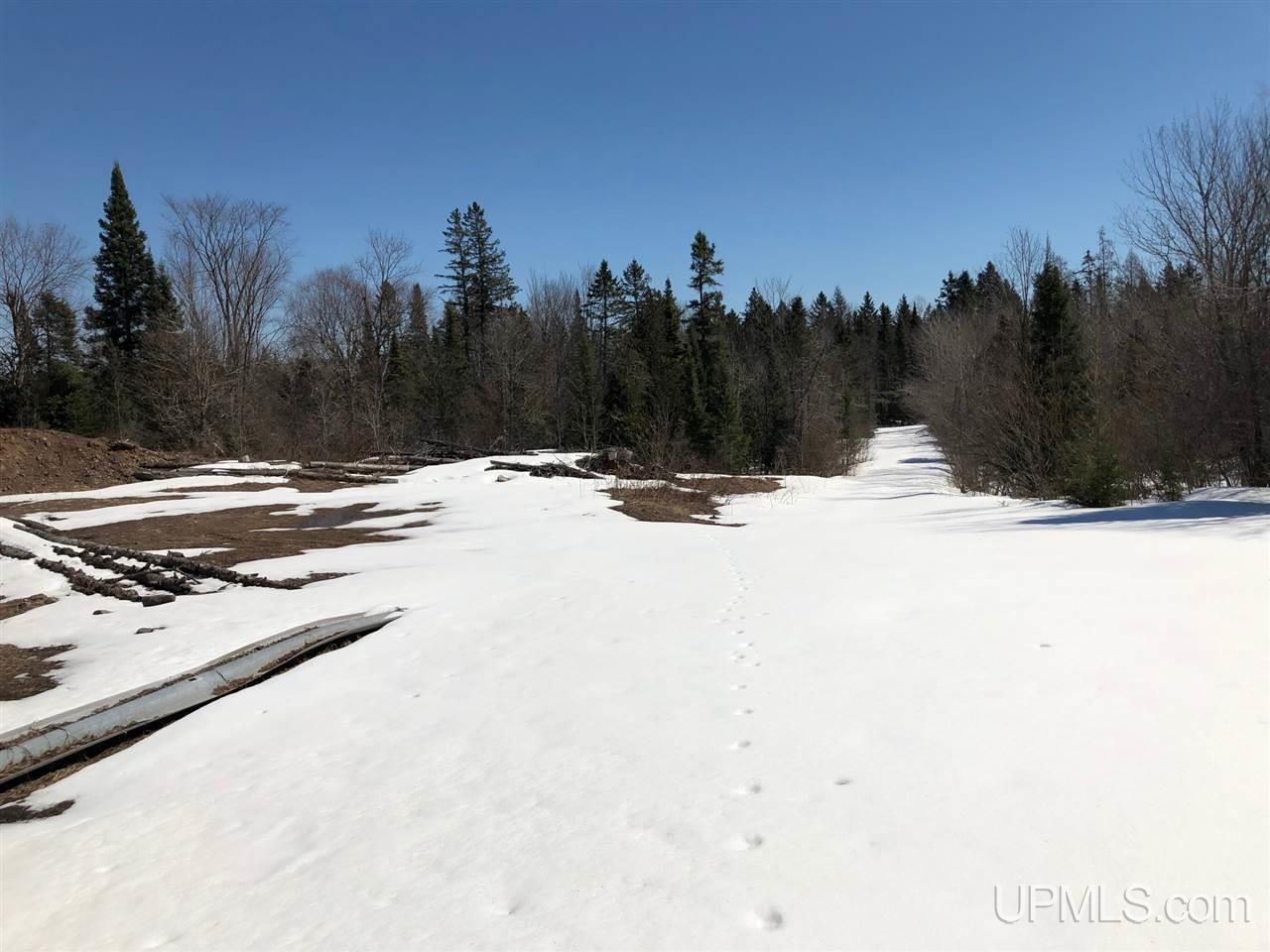 79.99-ac Off West Harding Road Bessemer, MI 49911 - Photo 19 of 33