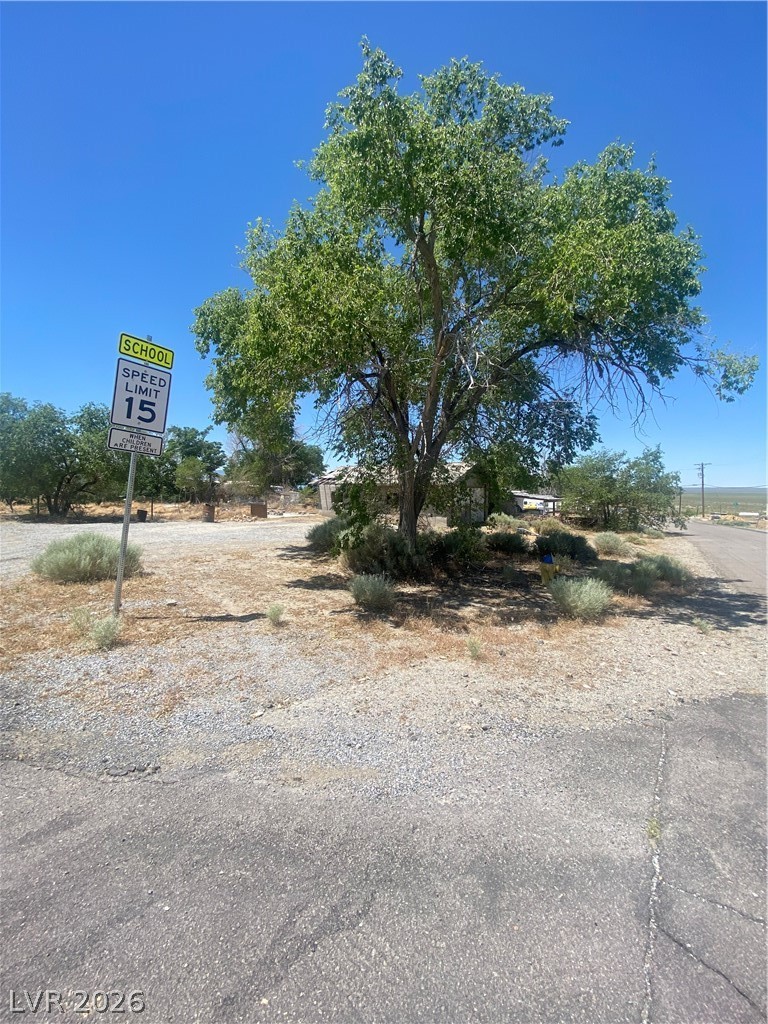 701 3rd Street Gabbs, NV 89409 - Photo 3 of 10 A tranquil tree-lined roadside with a clear sky, offering a peaceful setting for any home.