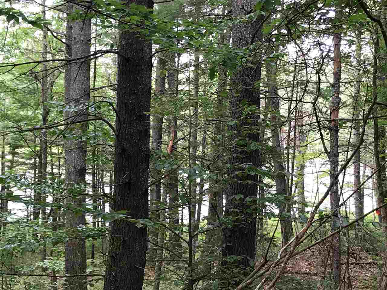 Lot 3 Off Barnstead Town Line Center Barnstead, NH 03225 - Photo 6 of 6 Gallery Image 6