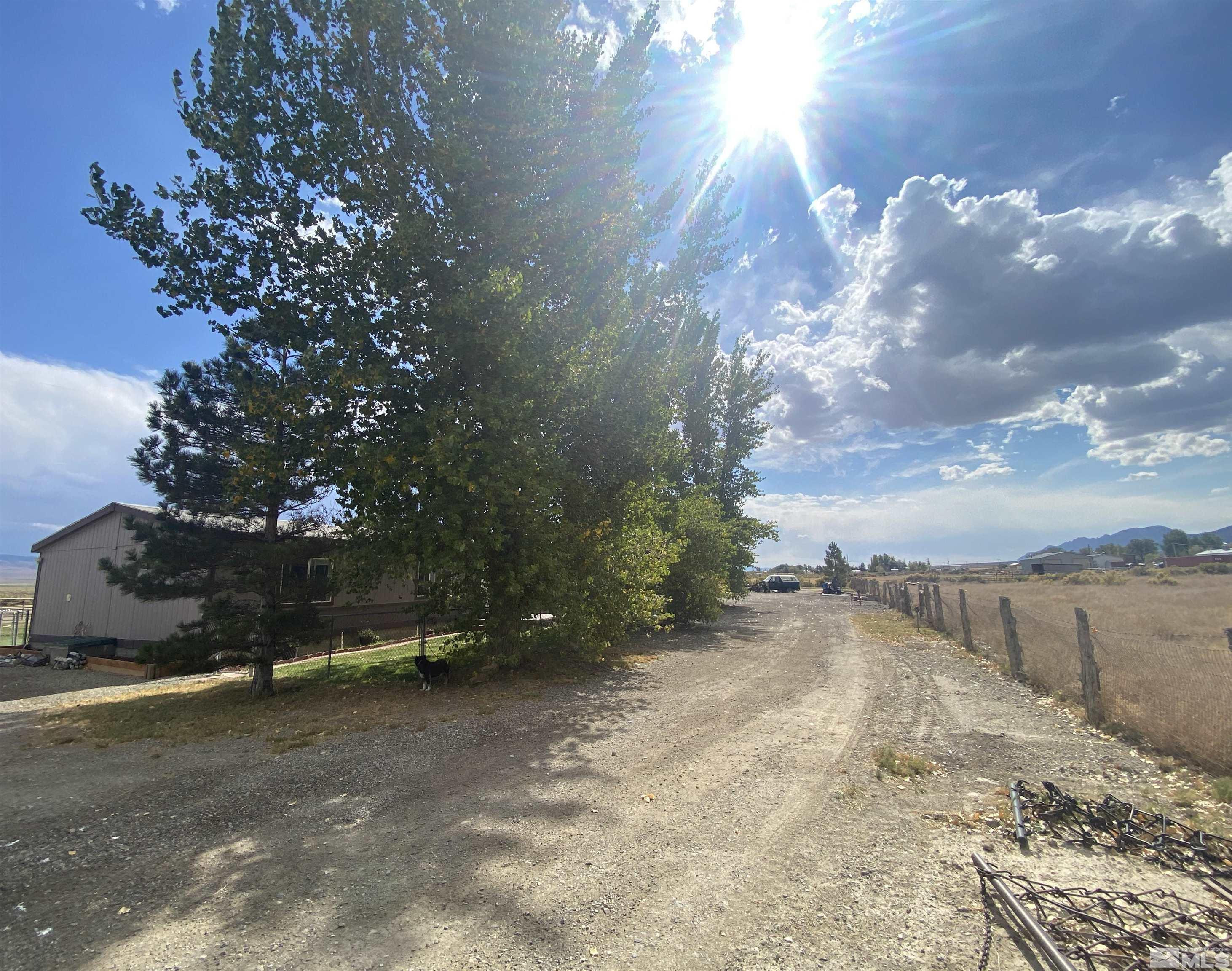 451 Manley Ranch Road Round Mountain, NV 89045 - Photo 2 of 40 a view of a yard with a tree