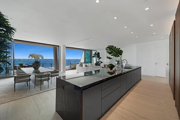 a living room with furniture a potted plant and kitchen view