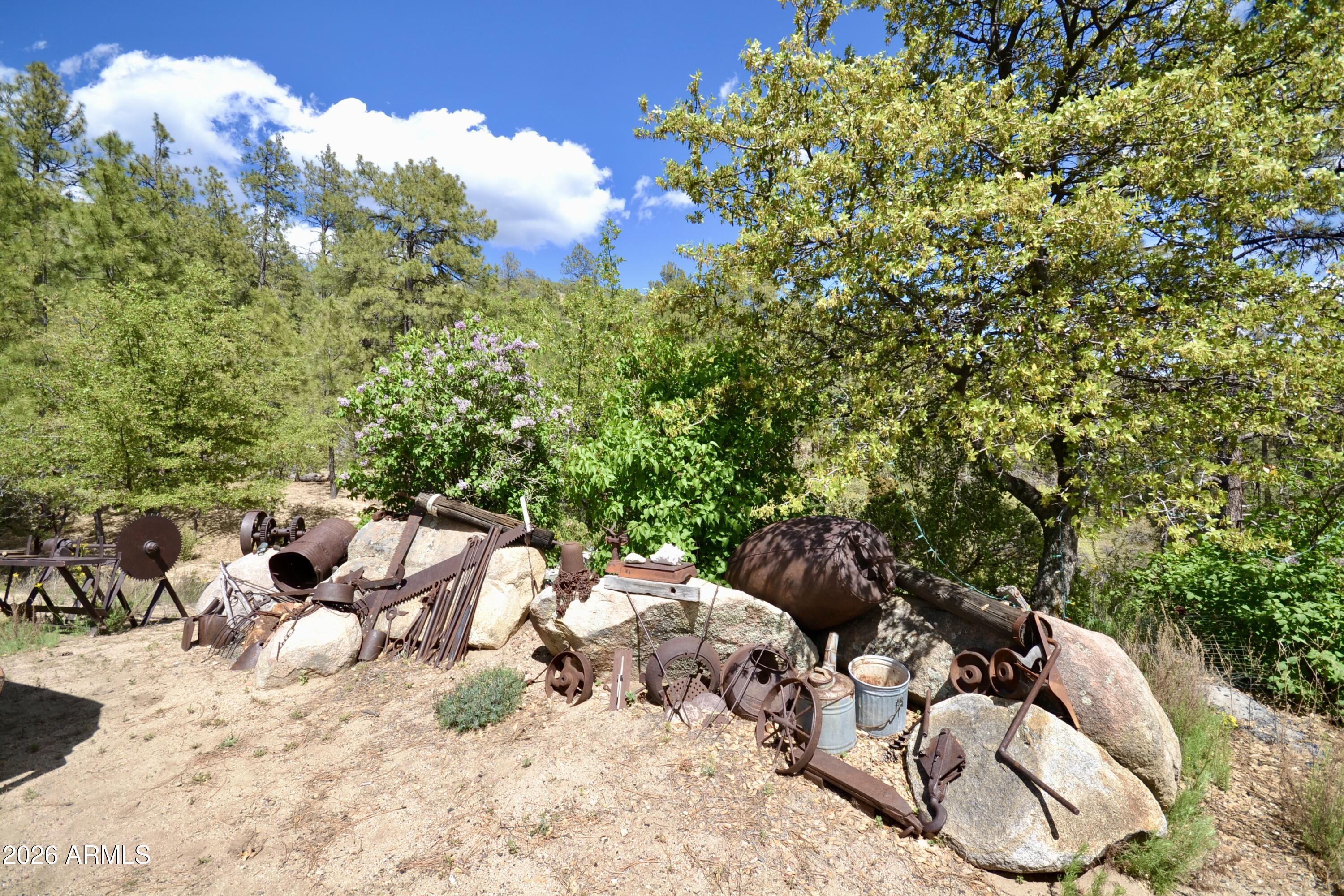 23617 South Demascus Road Crown King, AZ 86343 - Photo 11 of 50 a view of a tree in a backyard